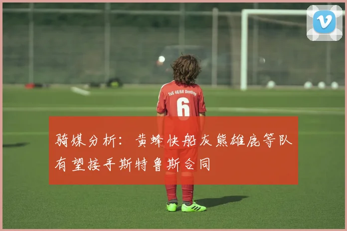 骑媒分析：黄蜂快船灰熊雄鹿等队有望接手斯特鲁斯合同